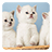 icon Kittens Live Wallpaper 3.5