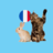 icon Animals in French 4.3