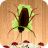 icon Beetle Smasher 2.7