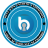 icon Blue VPN 2.0.1