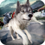 icon Wolf Simulator 2016 