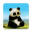 icon Animated Panda Live Wallpaper 1.0.9