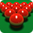 icon Pro Snooker 2021 1.45
