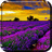 icon Lavender Live Wallpaper 4.0