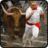 icon com.dss.bull.run2016 1.3