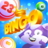 icon Bingo Raccoon 1.1.0