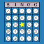 icon Classic Bingo Touch