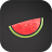 icon VPN Melon 1.5.105