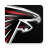icon Falcons 21.11.637