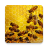 icon Apiary Book 7.1