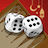 icon Backgammon Plus 4.27.0