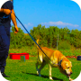 icon Police Dog Stunt Training