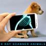 icon Xray Animals Prank