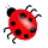 icon Ladybug_Chase 1.0
