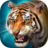 icon The Tiger 1.6.1