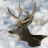 icon Deer Hunters Live Wallpaper 1.0.0