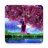 icon Sakura Garden Live Wallpaper 1.0.9
