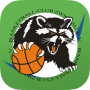 icon Basketball-Club Zwickau