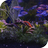 icon Aquarium Live Wallpaper 3.0