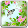icon Spring Flowers Live Wallpaper