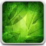 icon Green Leaves Live Wallpaper