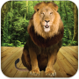 icon Talking Lion