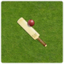 icon Cricket Scorer