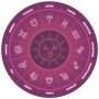 icon Astro Horoscope for ivoomi V5