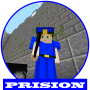 icon Prison