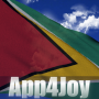 icon Guyana Flag