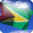 icon Guyana Flag 4.2.8