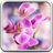 icon Orchid Live Wallpaper 12.0