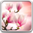 icon Magnolia Live Wallpaper 3.0