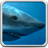 icon Sharks Live Wallpaper 10.0