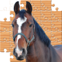 icon Puzzle Horses