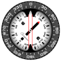 icon Compass PRO for Samsung Galaxy Tab 3 10.1