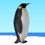 icon Flying penguin