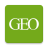icon GEO 3.0.3