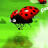 icon Flying Ladybug 1.0.0.1