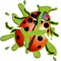 icon Ladybug Smasher