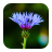 icon Blur Image 1.17