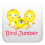 icon Jumper Chicken