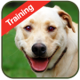 icon Dog Training