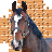 icon Puzzle Horses 1.1