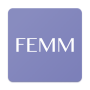 icon FEMM