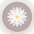 icon Retro Style 5.0.6