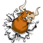 icon Angry Bull Run