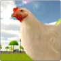 icon Crazy Chicken Simulator