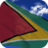 icon Guyana Flag 4.5.7