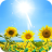 icon Sunflower 1.3